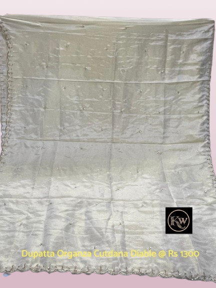 KW Dupatta Organza Tissue Cutdana Diable (2)