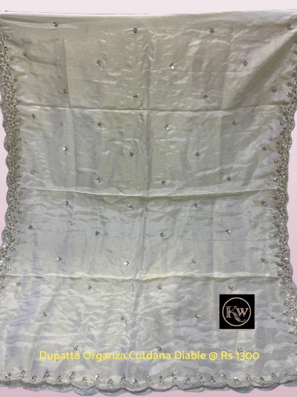 KW Dupatta Organza Tissue Cutdana Diable (6)
