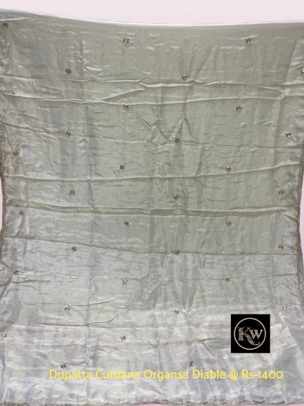 KW Dupatta Organza Tissue Cutdana Diable (1)