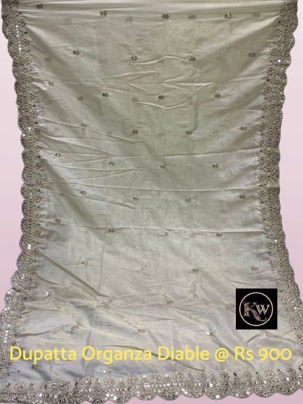 KW Dupatta Organza Tissue Diable (1)