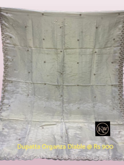 KW Dupatta Organza Tissue Diable (2)