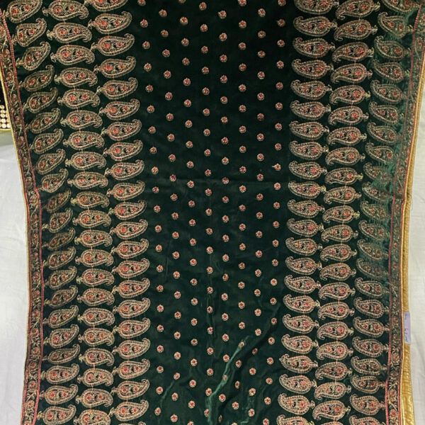 KW Dupatta Velvet Emb (13)